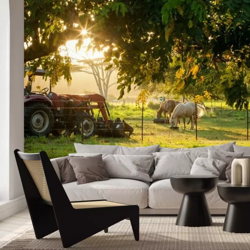 Fotobehang Boerderij Zonsondergang