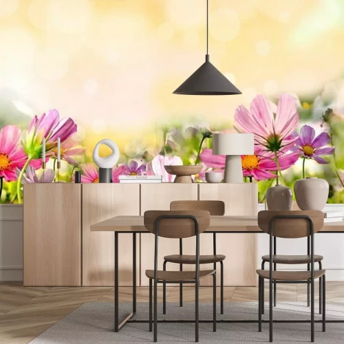 Fotobehang Veldbloemen en zonneschijn