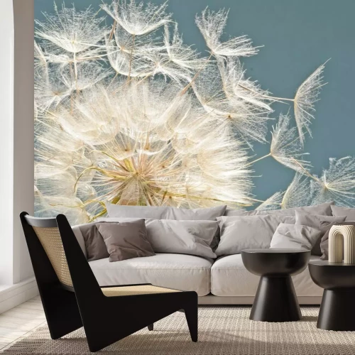 Fotobehang Gedetailleerde paardenbloem zaden