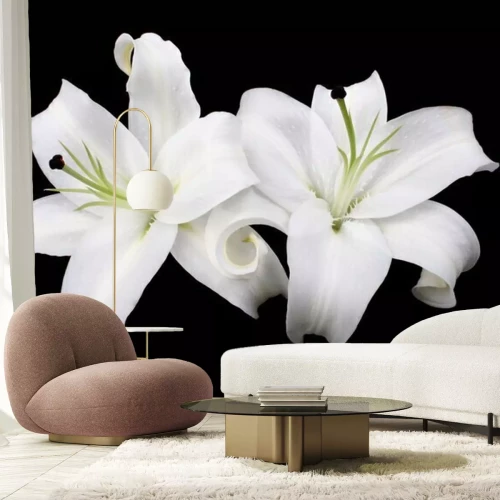Sticker Witte lelie bloemen op een zwarte achtergrond