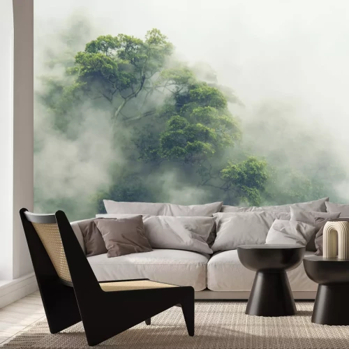 Fotobehang Tropische bossen in dichte mist