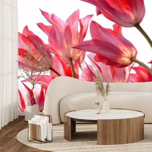 Sticker Bloemen van onderaf gezien