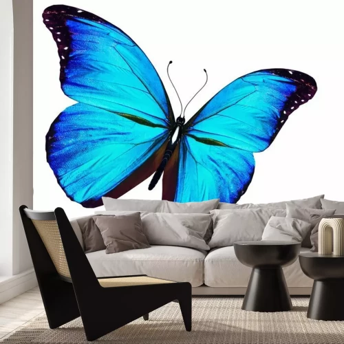 Fotobehang Exotische vlinder op een lichte achtergrond