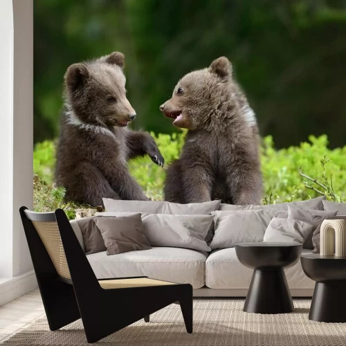 Fotobehang Twee lieve beren welpen