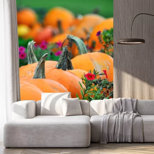 Sticker Pompoenen groeien in de moestuin