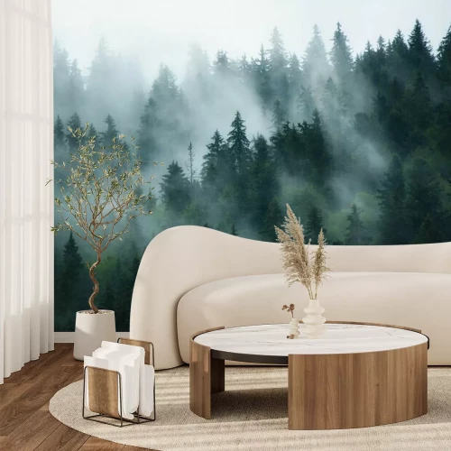 Fotobehang Bomen in een mistig bergbos