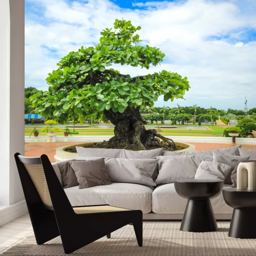 Fotobehang Bonsai in de tuin