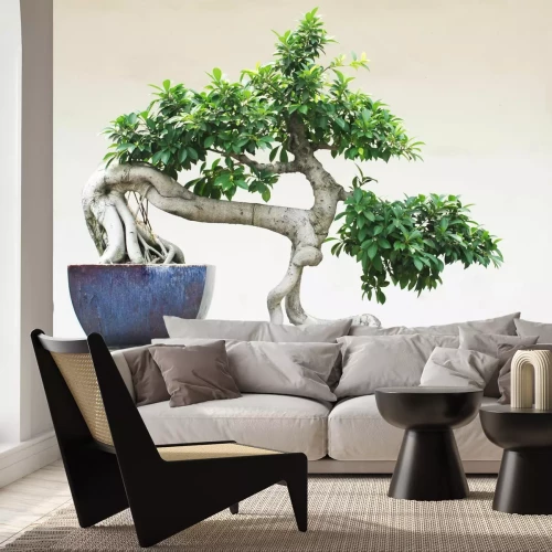 Fotobehang Bonsai boom in een pot