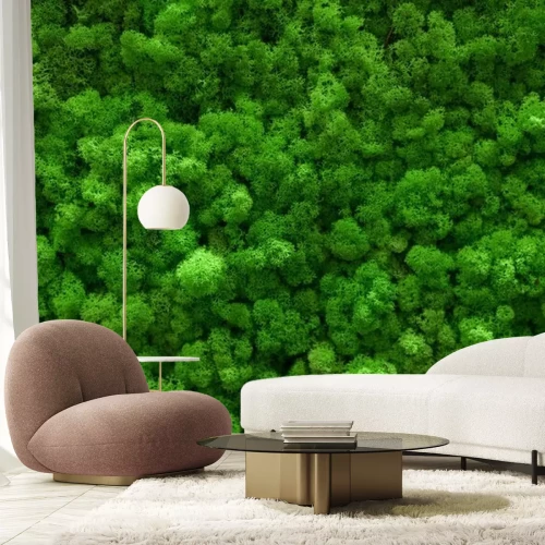 Fotobehang Decoratief groen mos