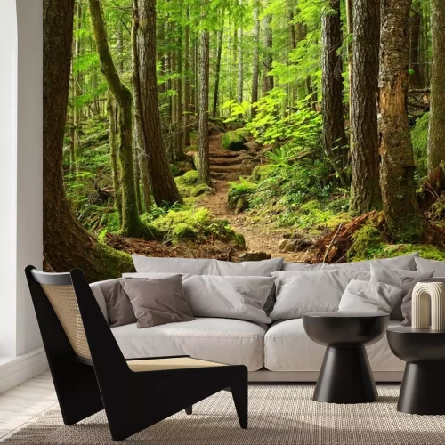 Fotobehang Bos en pad