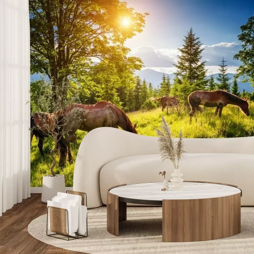 Fotobehang Vuile paarden weiden in het weiland dat door de zon wordt verlicht. Locatie plaats Karpaten, Oekraïne, Europa. Schoonheidswereld.