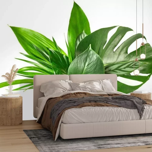 Sticker verschillende tropische bladeren