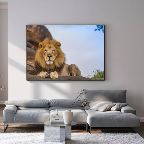 Visualisatie van het product