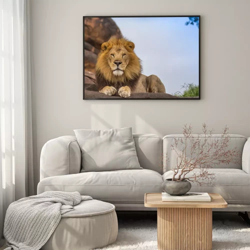 Visualisatie van het product