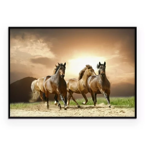 Poster Een kudde paarden bij zonsondergang