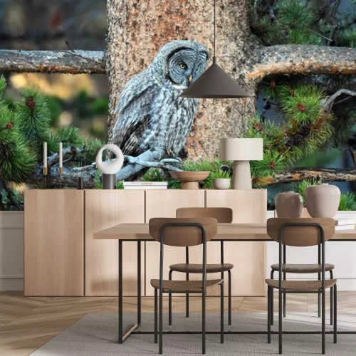 Sticker Uil slaapt in een boom