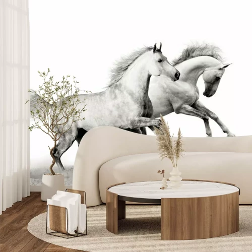 Fotobehang Twee grijze paarden in grijs stof