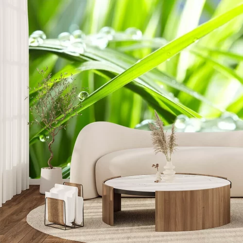 Fotobehang Waterdruppels op groen gras