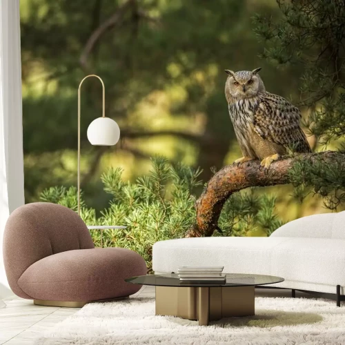 Fotobehang Bruine uil op een tak in het bos