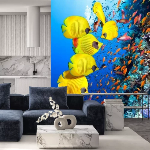 Fotobehang Koraalrif vissen en oceaan