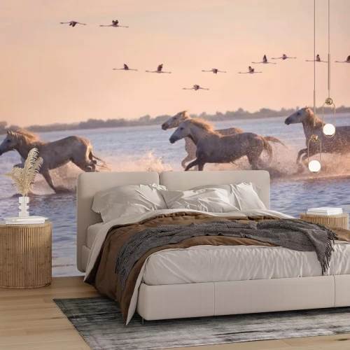 Fotobehang Witte paarden galopperen door het water met vliegende flamingo&#39;s