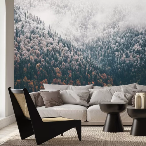 Fotobehang Mistige herfst naaldbos luchtfoto landschap achtergrond Reizen serene schilderachtig uitzicht