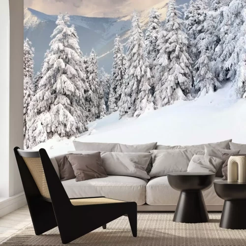 Fotobehang Winteruitzicht in de bergen