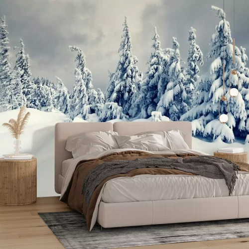 Fotobehang Winter in de bergen