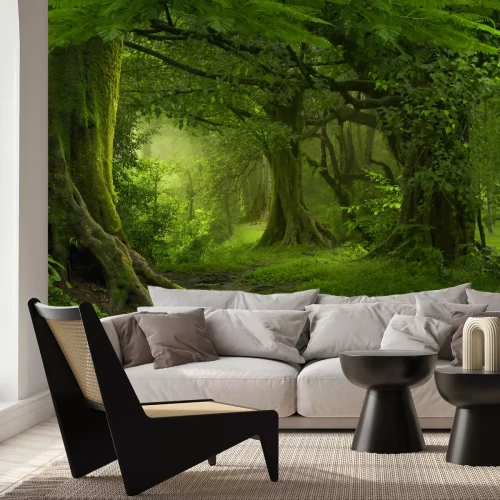 Fotobehang Groene jungle