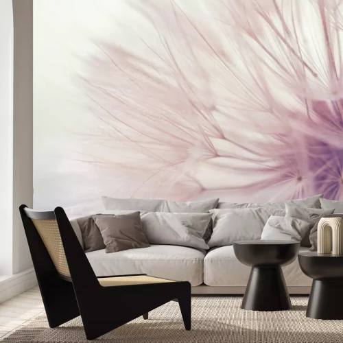 Fotobehang Macro-opname van een paardenbloem tegen een wazige achtergrond