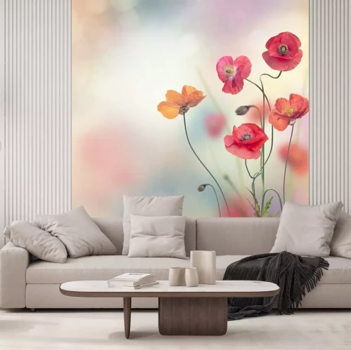 Fotobehang Rode klaprozen