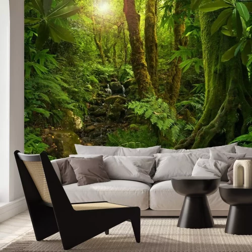 Fotobehang Dichte begroeiing in de jungle