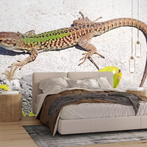 Sticker Ruïne hagedis