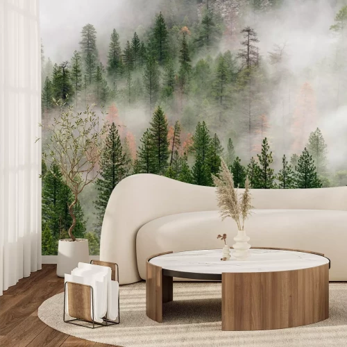Fotobehang Mistig bos in Yosemite