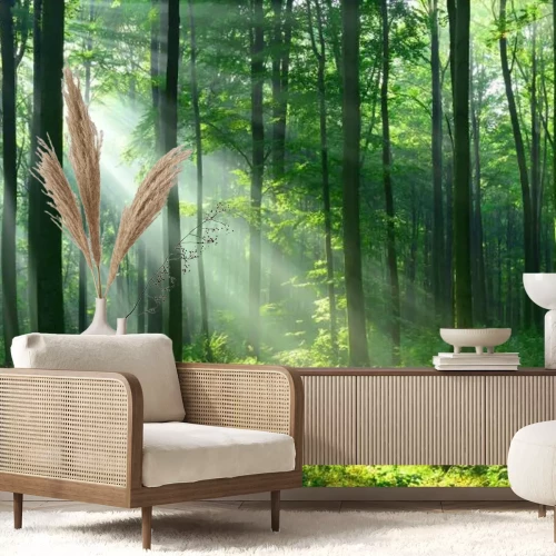 Fotobehang Boslandschap met zonnestralen tussen de bomen