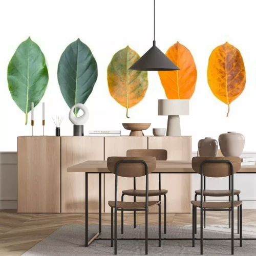 Sticker Closeup dakranden in verschillende kleuren en ouderdom van de jackfruit boombladeren. Lijn van kleurrijke bladeren in de herfstseizoen. Voor milieu veranderd concept. Bovenaanzicht of plat leggen acht