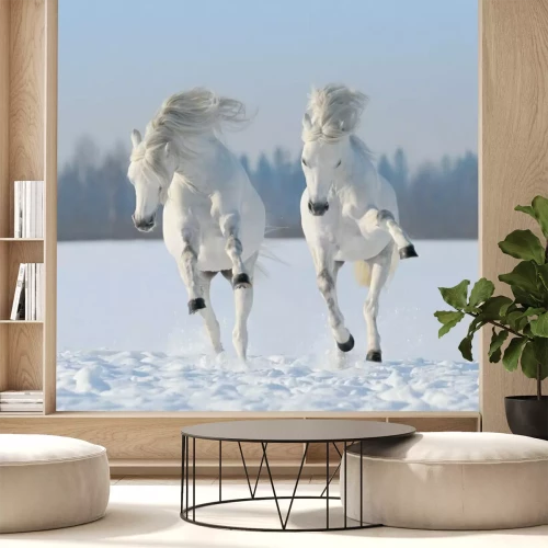Fotobehang Twee paarden springen in de sneeuw
