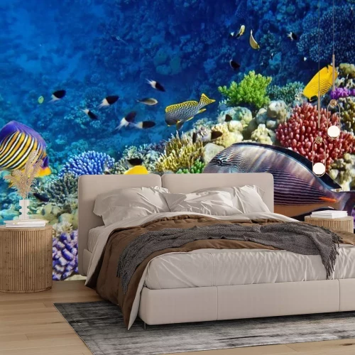 Fotobehang Vissen in de rode zee