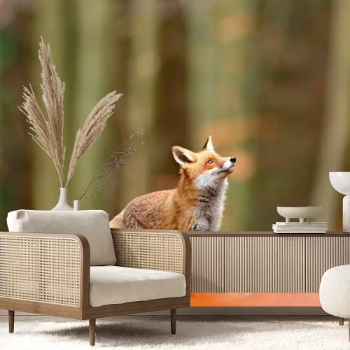 Fotobehang Een vos staat in een herfstbos met een wazige achtergrond