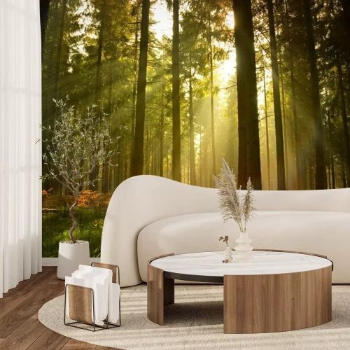 Fotobehang Prachtig bos