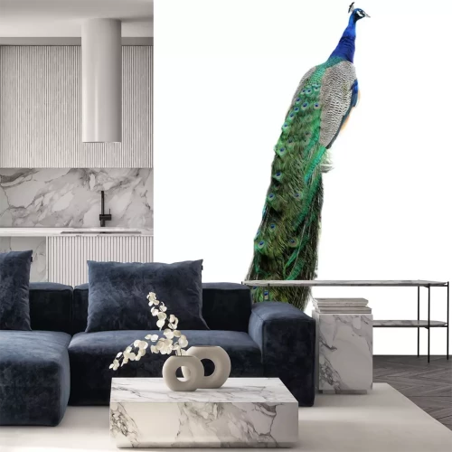 Sticker Pauw met lange kleurrijke staart