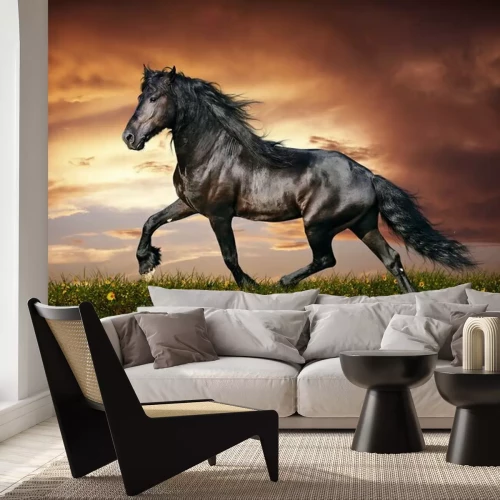 Fotobehang Dier op een achtergrond van een ondergaande zon