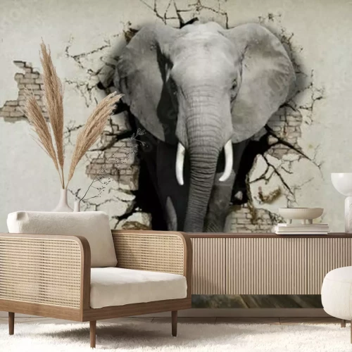 Sticker 3d dierenolifant die uit de muur komen