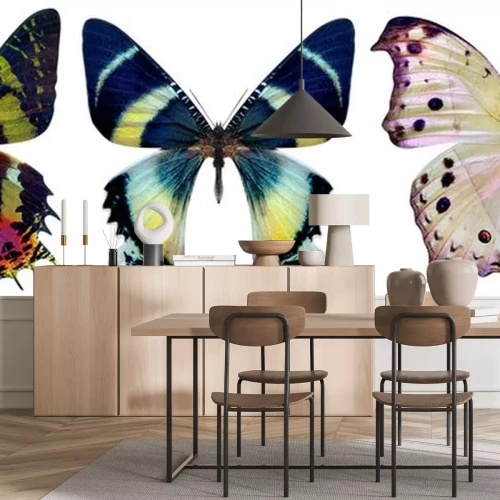 Sticker Drie exotische vlinders in opvallende kleuren