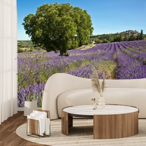 Fotobehang Uitzicht op lavendel en bomen