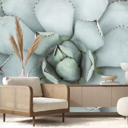 Fotobehang Een macro-opname van een lichtgroene vetplant