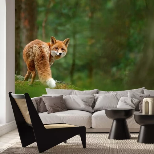 Fotobehang Rood dier in een groen bos