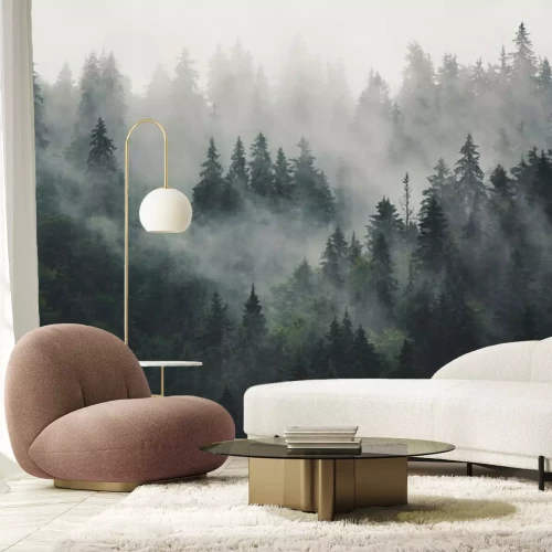 Fotobehang Middag in een somber bos