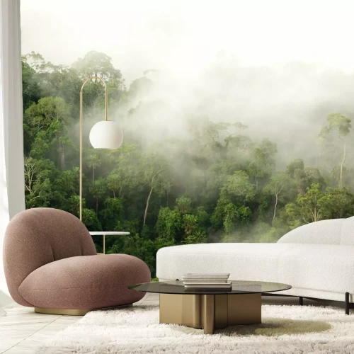 Fotobehang Regenwoud in mist