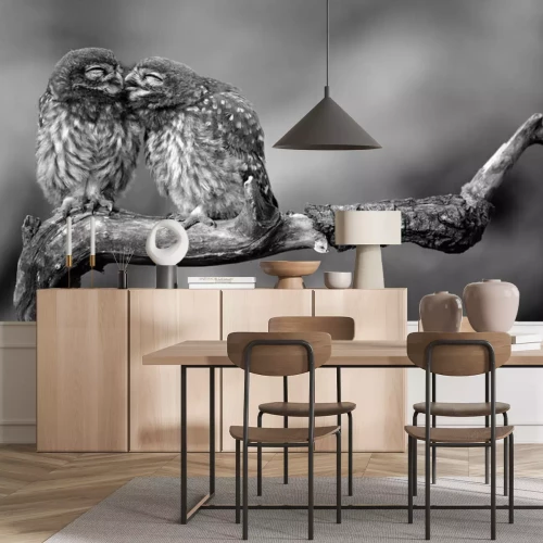 Fotobehang Uilen die elkaar omhelzen